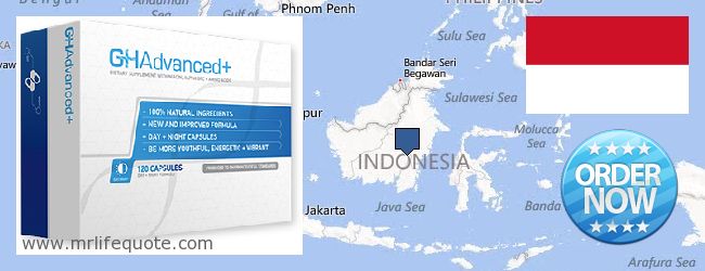 Gdzie kupić Growth Hormone w Internecie Indonesia